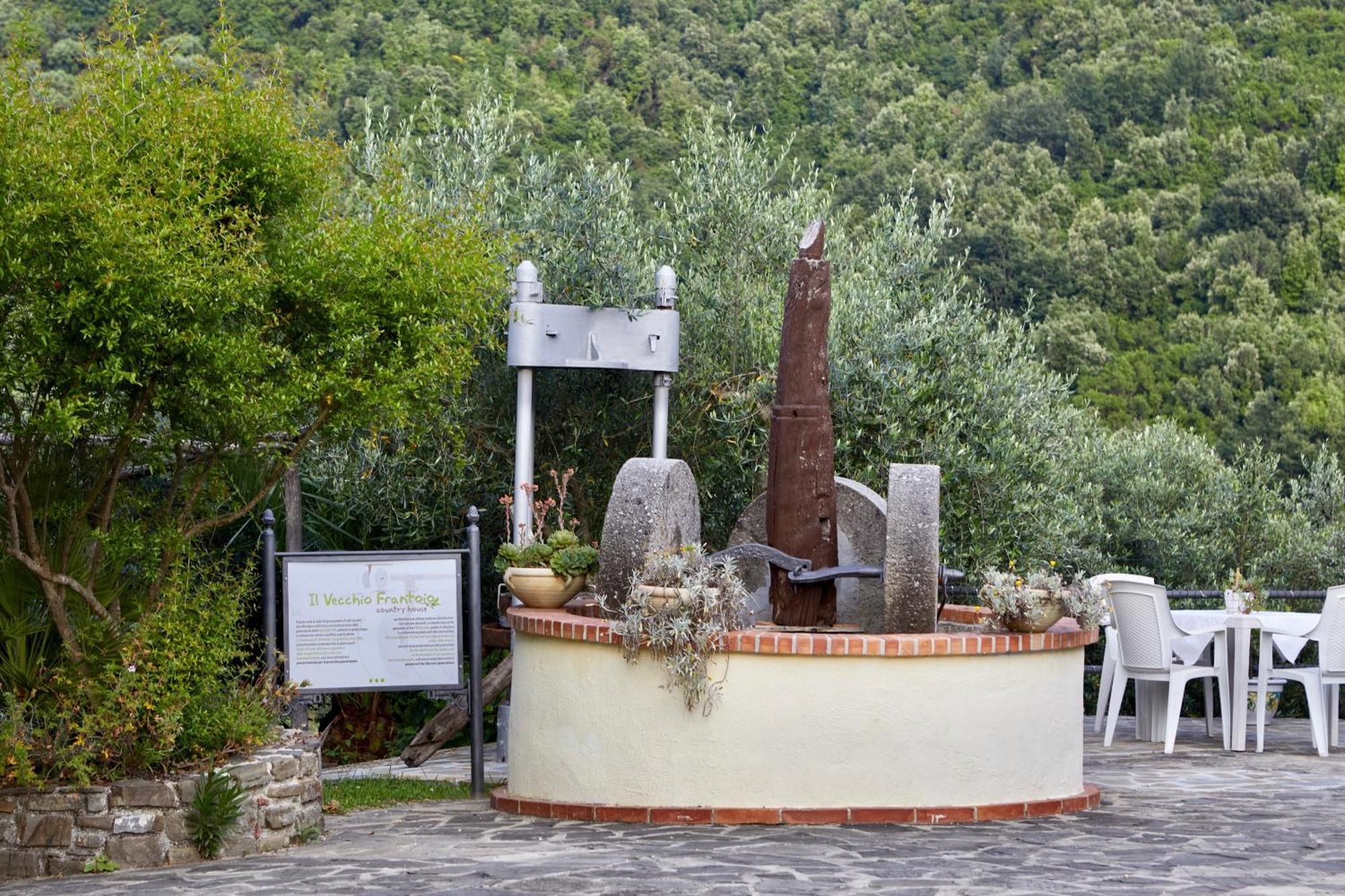 Вилла Il Vecchio Frantoio Stella Cilento Экстерьер фото