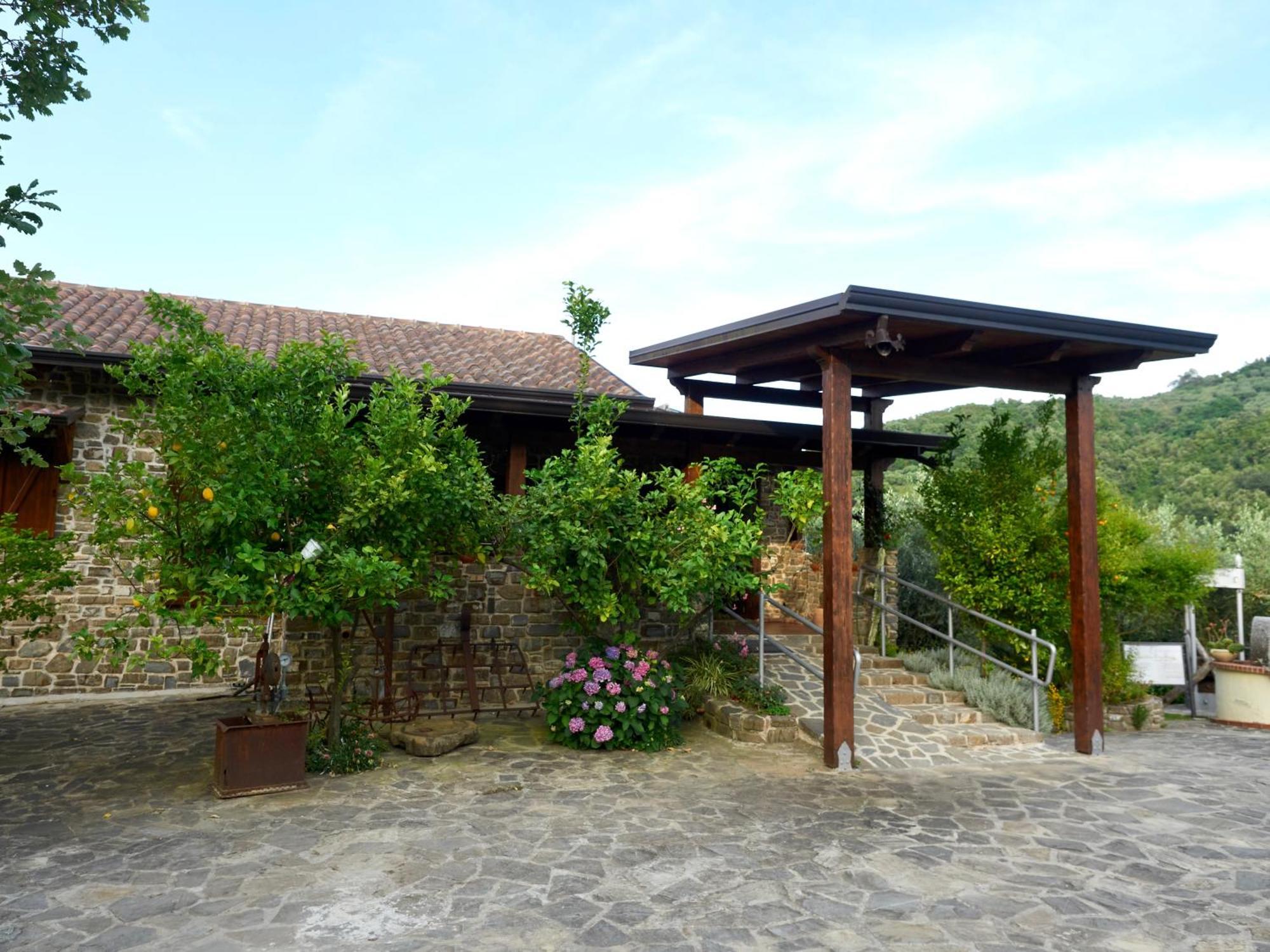Вилла Il Vecchio Frantoio Stella Cilento Экстерьер фото